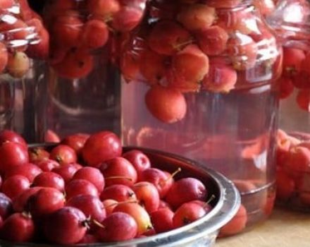 Recetas paso a paso sobre cómo cocinar una deliciosa compota de ranetki para el invierno en un frasco de 3 litros.