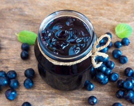 TOP 6 recipes for making blueberries in syrup for the winter