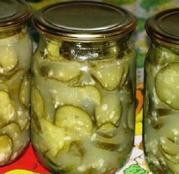 4 best recipes for pickling cucumbers with sunflower oil