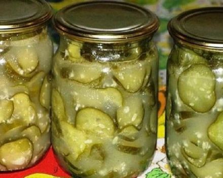 4 pinakamahusay na mga recipe para sa pag-aatsara ng mga pipino na may langis ng mirasol