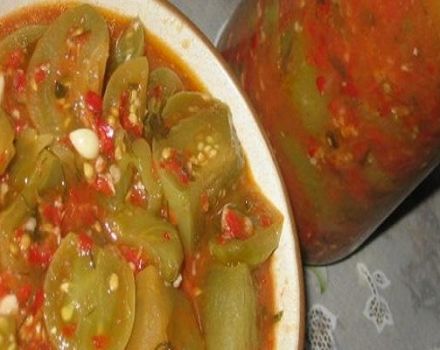 Step-by-step recipe for green tomatoes in tomato for the winter