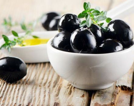 Description et caractéristiques des meilleures variétés d'olives, comment choisir dans le magasin