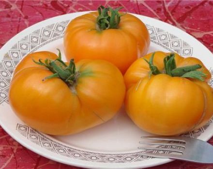 Ciri dan keterangan mengenai varieti tomato gergasi Leningrad, hasilnya