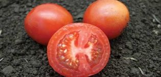 Description de la variété de tomate Blanche-Neige, ses caractéristiques, sa plantation et son entretien