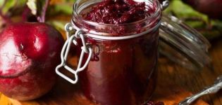 TOP 8 delicious recipes for pickled beets for cold borscht for the winter