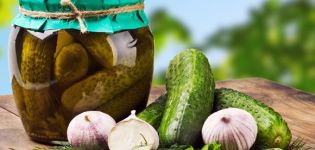 Step-by-step recipe for pickled cucumbers in Hungarian for the winter