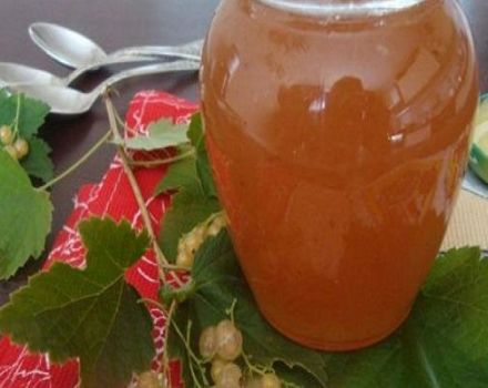 Korak po korak recept za marmeladu od crvene i bijele ribizle za zimu