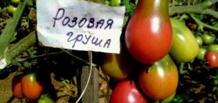 Description et caractéristiques de la variété de tomate Rose poire