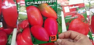 Description de la variété de tomate Slavyanin, caractéristiques de culture et d'entretien