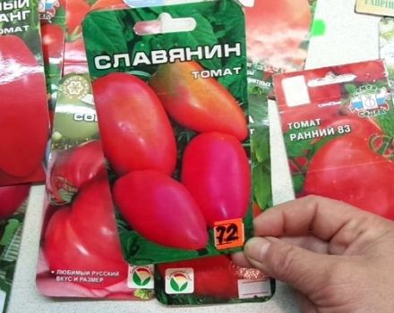 Penerangan mengenai varieti tomato Slavyanin, ciri penanaman dan penjagaan