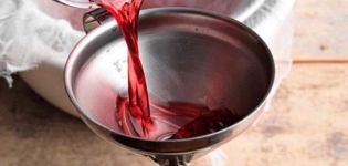 6 recettes faciles pour faire du vin de rhubarbe à la maison