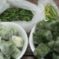 TOP 10 ways to properly freeze green onions for the winter at home