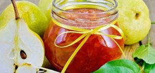 TOP 14 des recettes étape par étape pour la confiture d'ambre de tranches de poire pour l'hiver