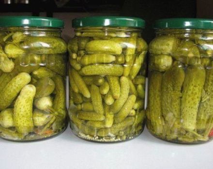 TOP 13 recipes for pickling crispy cucumbers for the winter in jars without vinegar