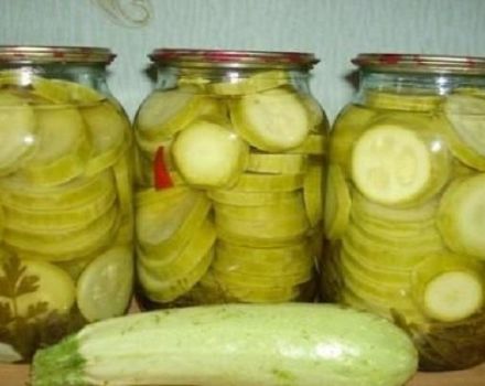 La mejor receta para cocinar calabacines en tu propio jugo para el invierno.