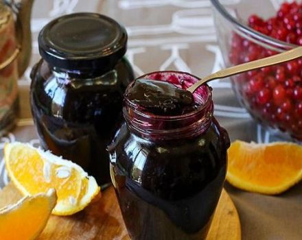 9 simple recipes for making blackcurrant jelly for the winter