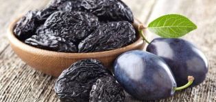 The best ways to dry prunes at home