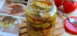 Une délicieuse recette de courgettes cuites au four pour l'hiver à la maison