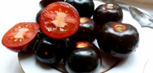 Characteristics and description of the Indigo Rose tomato variety