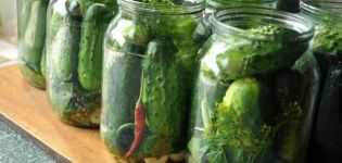 The main reasons why jars of cucumbers explode, how to save canning or redo, is it possible to eat