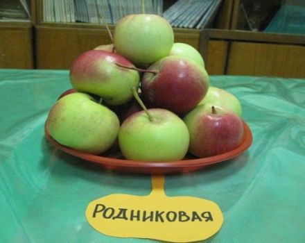 Penerangan mengenai pelbagai jenis pokok epal Rodnikovaya, hasil dan penanaman