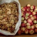 How to properly dry apples at home in the oven on a baking sheet, electric dryer and how to store