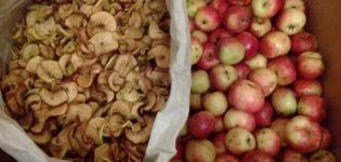 How to properly dry apples at home in the oven on a baking sheet, electric dryer and how to store