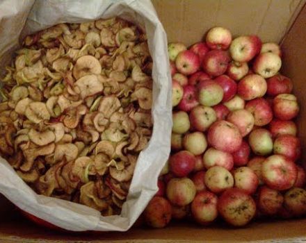 Comment bien sécher les pommes à la maison au four sur une plaque à pâtisserie, un sèche-linge électrique et comment les conserver