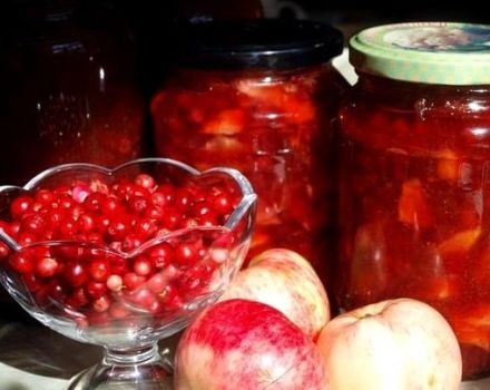 Une recette simple de confiture d'airelles aux pommes pour l'hiver