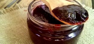 A simple recipe for making plum jam for the winter at home