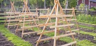 How to make a trellis for cucumbers with your own hands