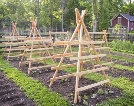 How to make a trellis for cucumbers with your own hands