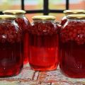 17 simple recipes for making raspberry compote for the winter