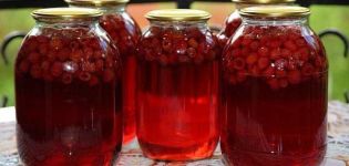 17 simple recipes for making raspberry compote for the winter