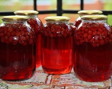 17 recettes simples pour faire de la compote de framboises pour l'hiver