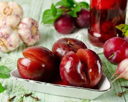 13 recipes for making canned plums in syrup for the winter