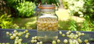 The best recipes for making gooseberry compote for the winter step by step