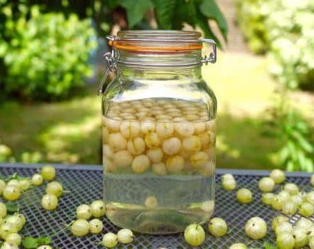 The best recipes for making gooseberry compote for the winter step by step