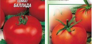 Description de la variété de tomate Ballada et de ses caractéristiques