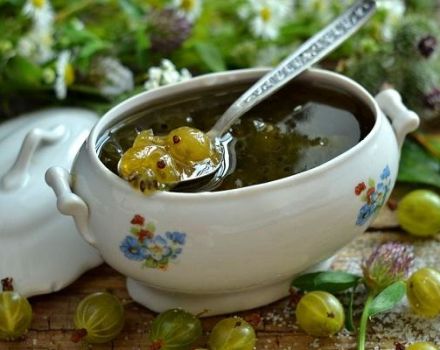 TOP 17 simple and quick gooseberry jam recipes for the winter