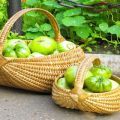 Description et caractéristiques des variétés de tomates vertes