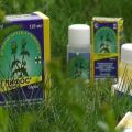 Instructions pour l'utilisation de l'herbicide Glyphos contre les mauvaises herbes