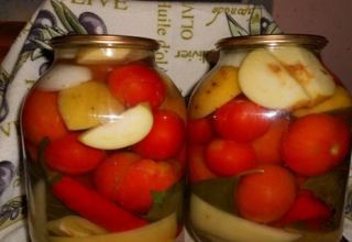 Resipi untuk pengetinan tomato dengan epal untuk musim sejuk anda akan menjilat jari anda