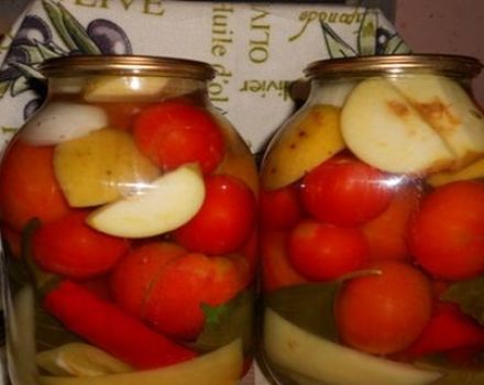 Recettes pour mettre des tomates en conserve avec des pommes pour l'hiver, vous vous lècherez les doigts