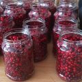 Recipes for making soaked lingonberries for the winter at home