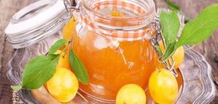 8 step-by-step recipes for pitted white plum jam for the winter