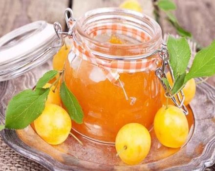 8 recettes étape par étape pour la confiture de prunes blanches dénoyautées pour l'hiver