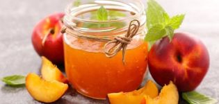 TOP 9 resipi untuk memasak peach puree untuk musim sejuk di rumah