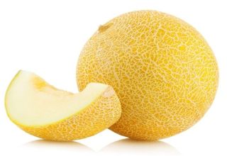 Description of the honey melon variety, recommendations for growing and care