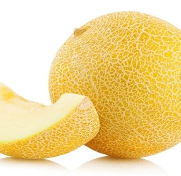 Description de la variété de melon au miel, recommandations de culture et d'entretien